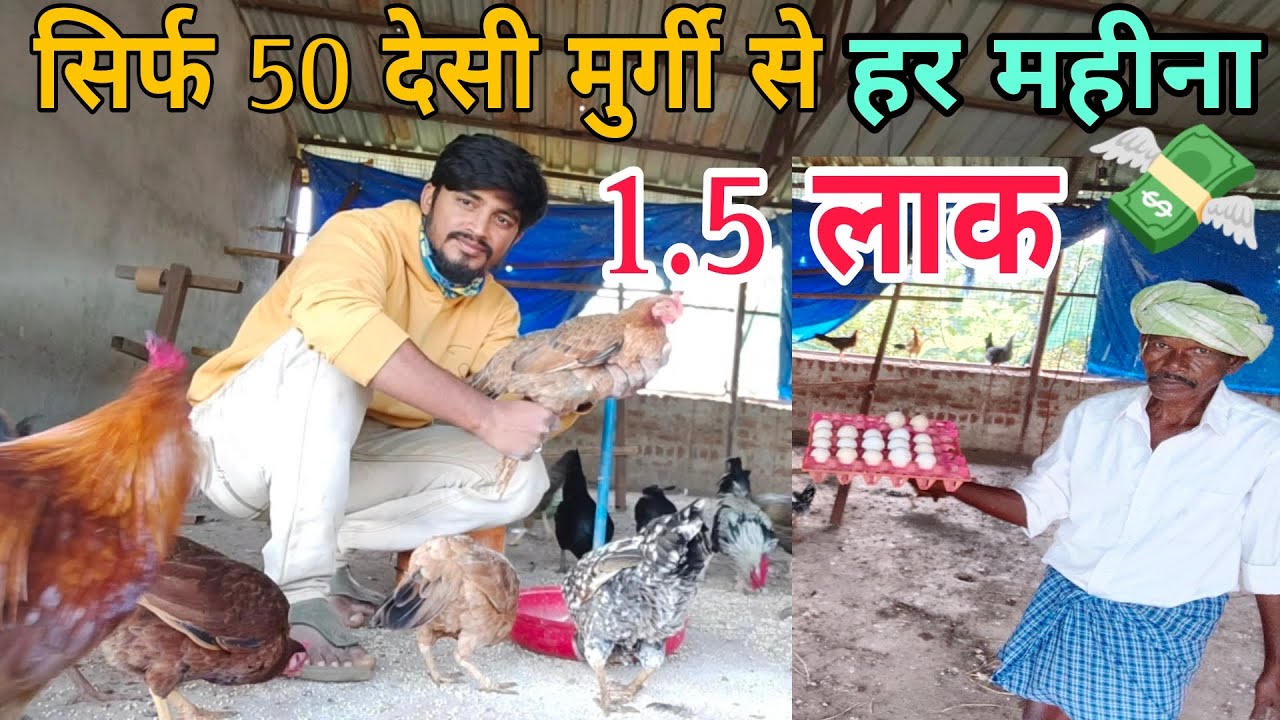 50 देसी मुर्गी पालन से 150000RS कमाई कैसे करें | खर्चा कितना आता | 50 desi poultry farming profit