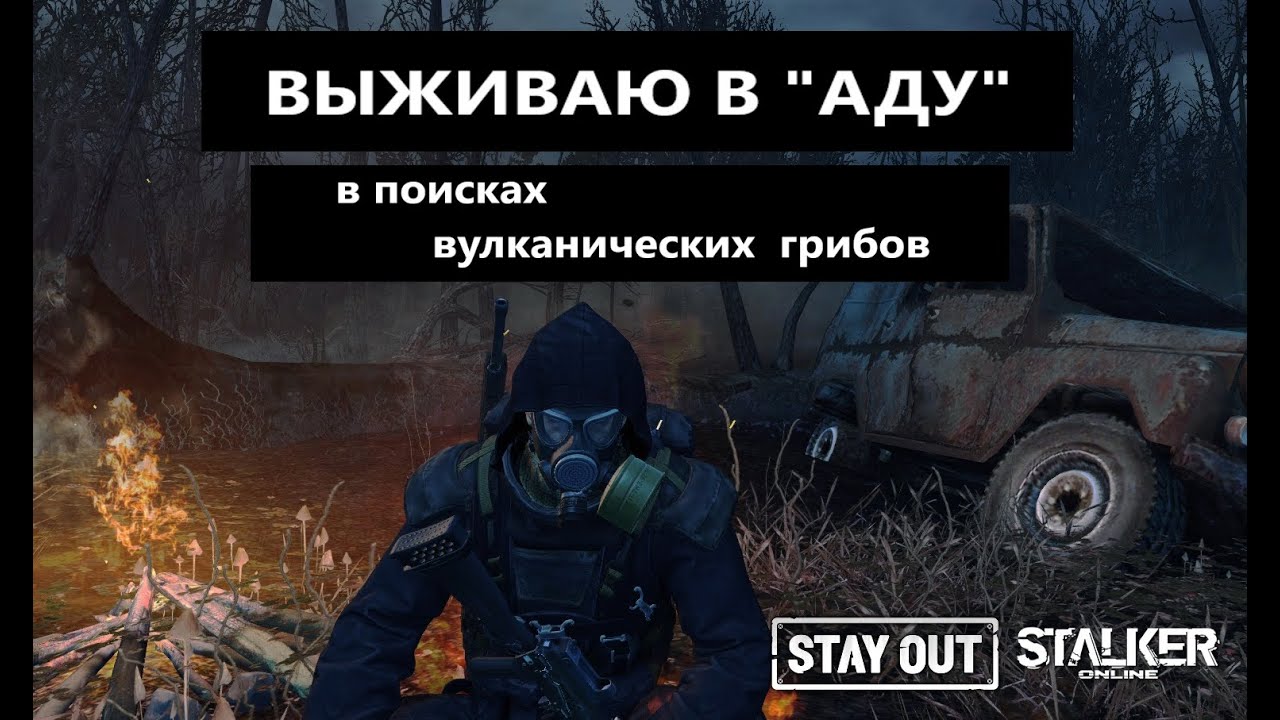 СТАЛКЕР ОНЛАЙН EU1 |Stay Out| В ПОИСКАХ ВУЛКАНИЧЕСКИХ ГРИБОВ