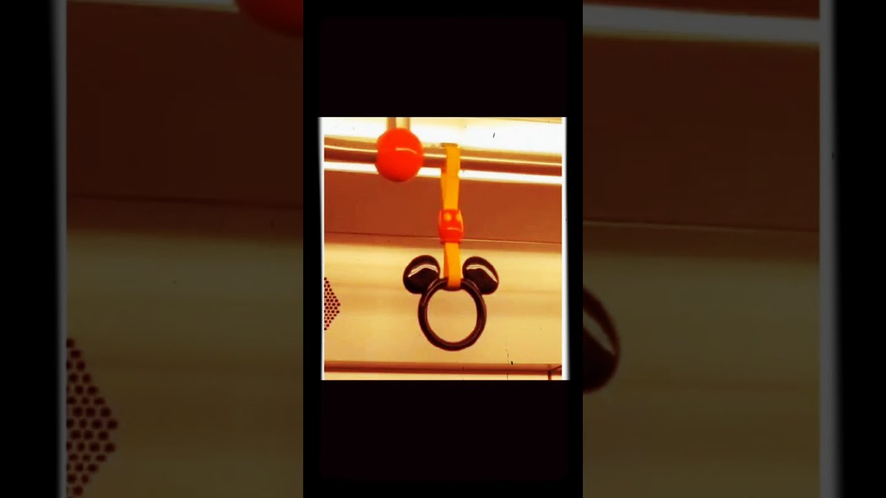 ディズニーリゾートラインbgm ポカホンタス　カラー・オブ・ザ・ウィンド