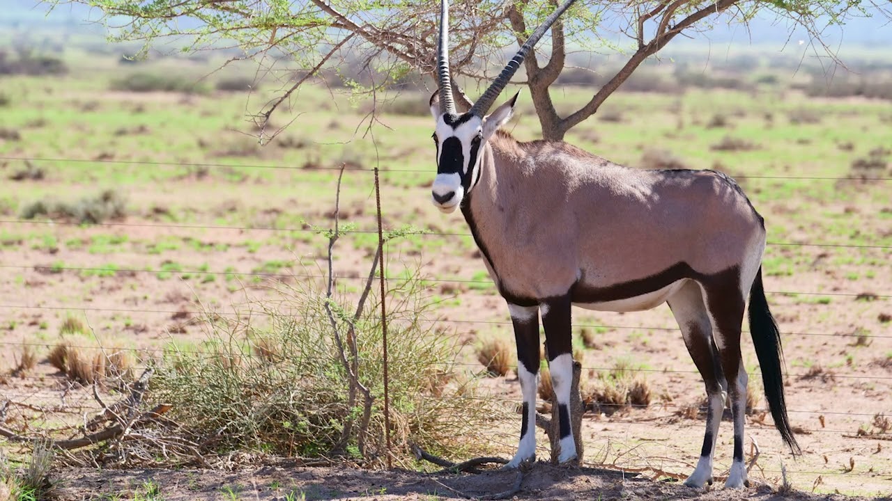 Namibia-on tour