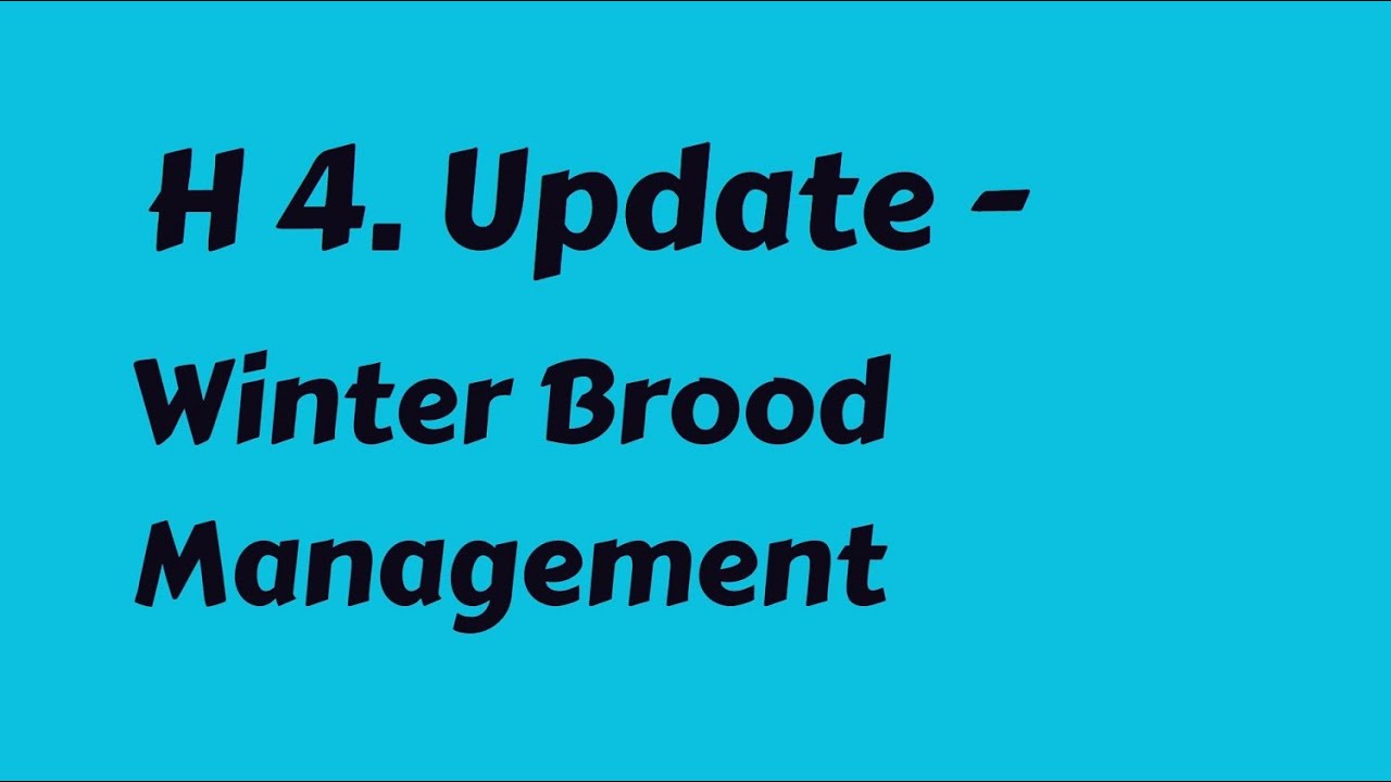 H 4. Update - Winter Brood Management  #Experimental-st