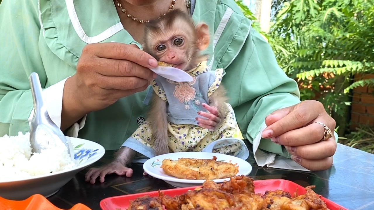 So delicious!! The adorable baby  LIORA feels happy when she gets lots of delicious food