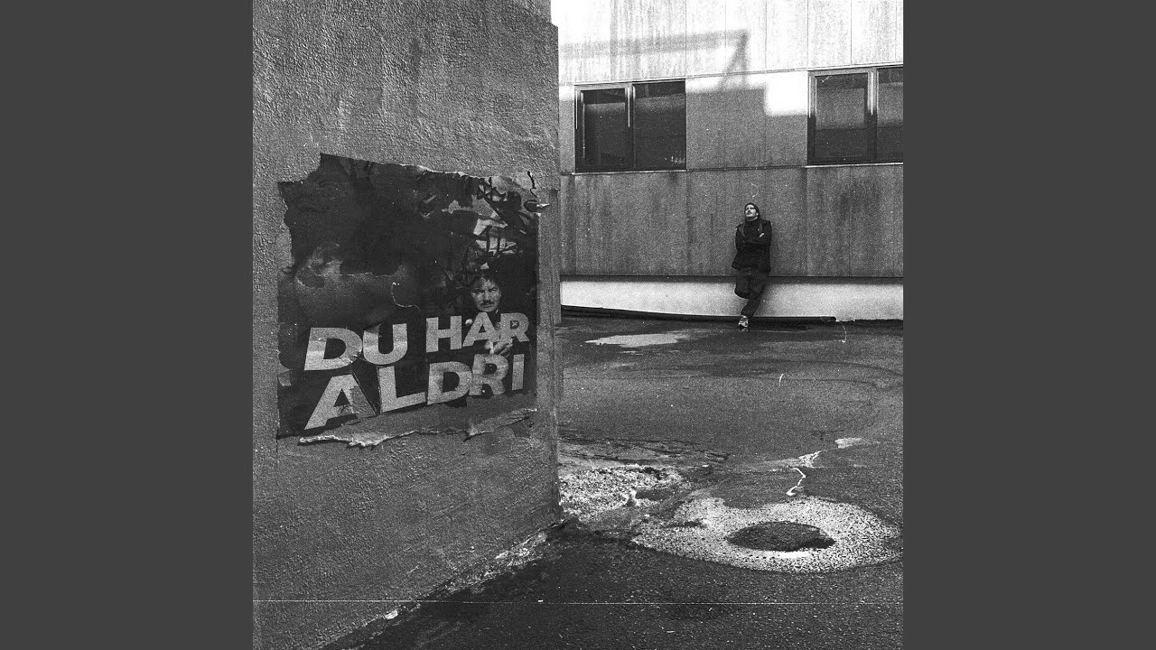 Du har aldri