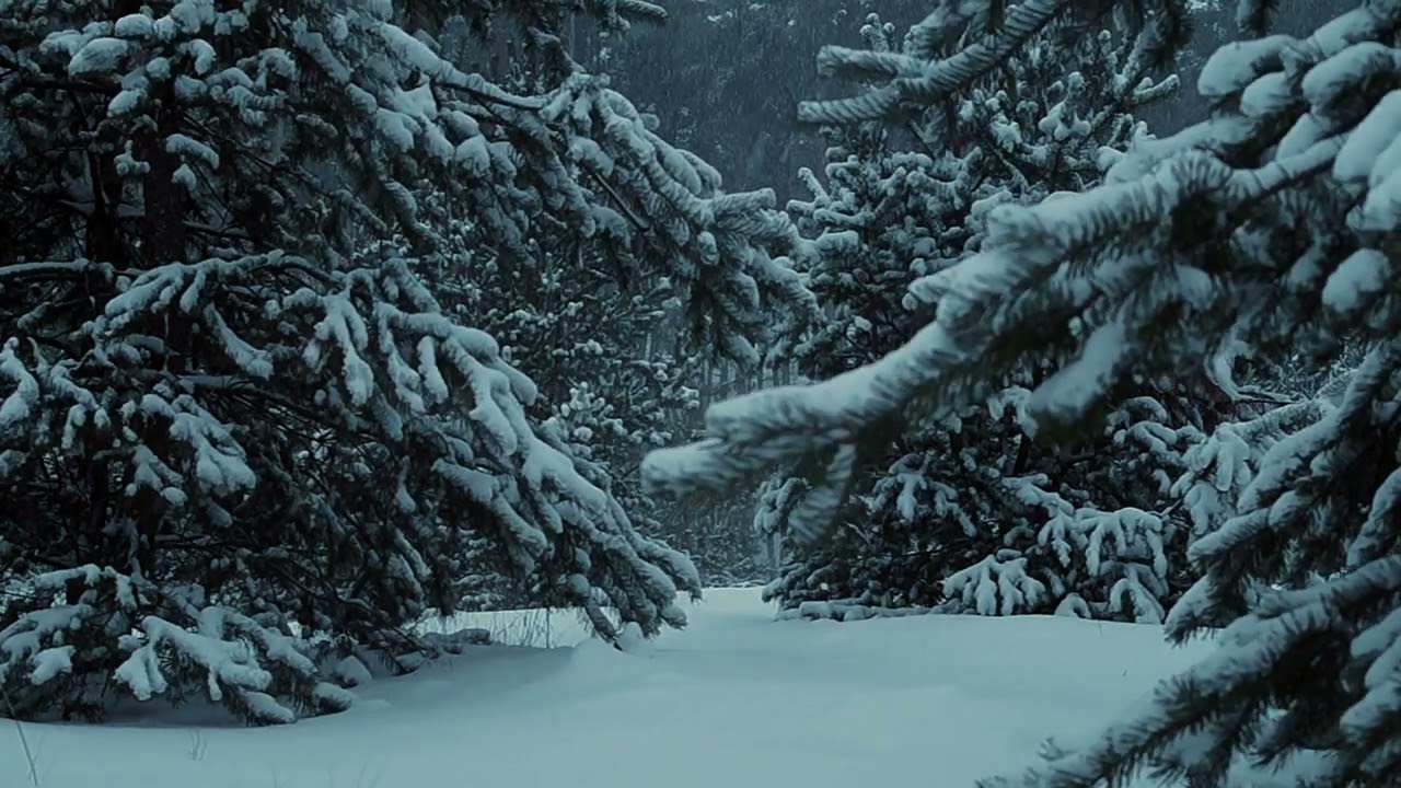 E-MANTRA - Eternal Sleep of the Frozen Forest