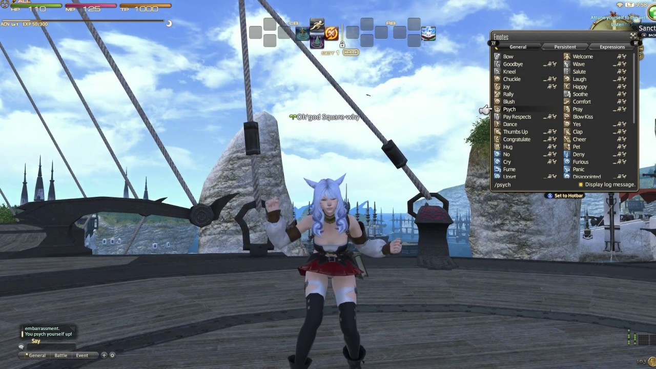 Final Fantasy XIV Female Miqo'te Emotes