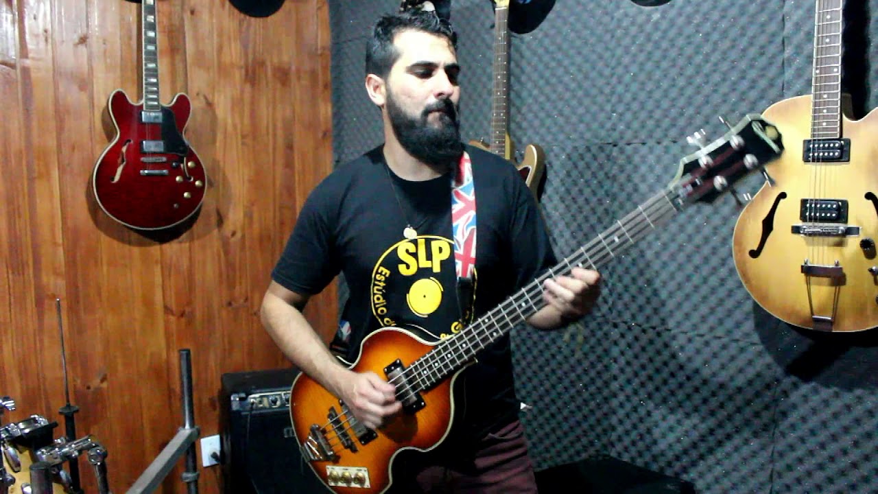 Contra Baixo    Epiphone   Viola Bass   By Saulo simon