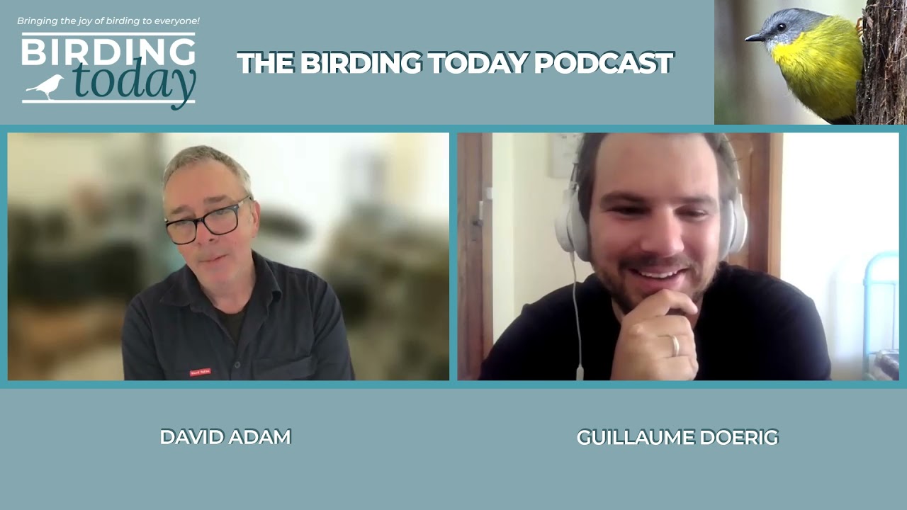 THE BIRDING TODAY PODCAST S1 EP. 10 | Birders & Musicians | DAVID ADAM