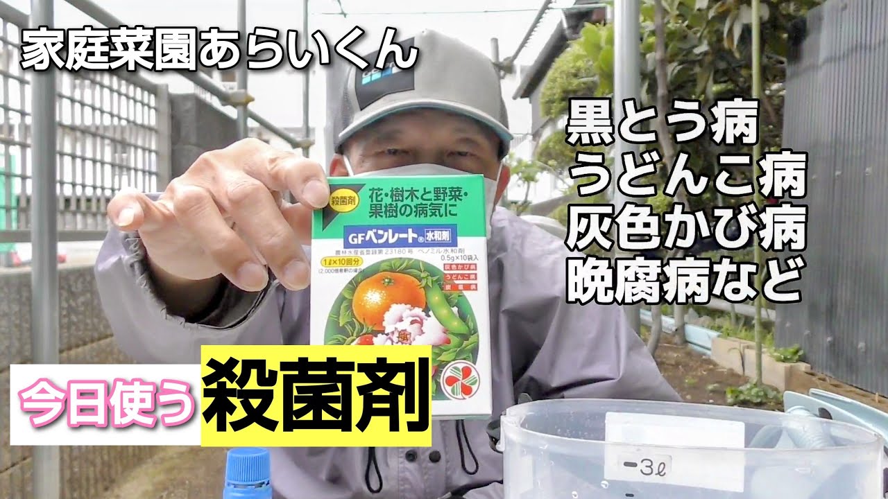 【シャインマスカット】第７６回、令和４年、１回目の消毒【家庭菜園】