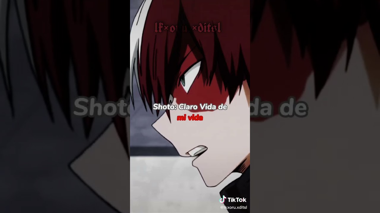 Y as&iacute; empez&oacute; la familia todoroki (TN y TODOROKI)