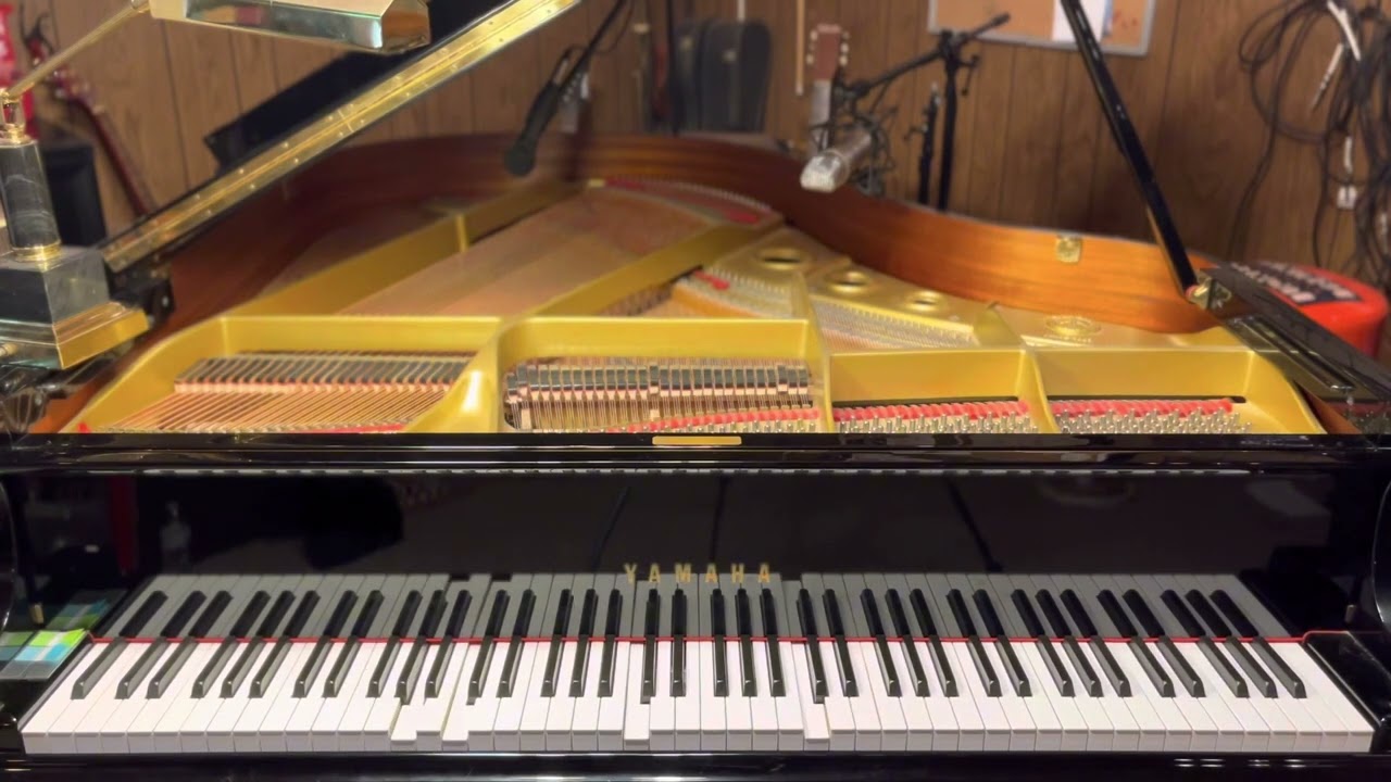 Fine by Lemon Demon | Player Piano Arrangement