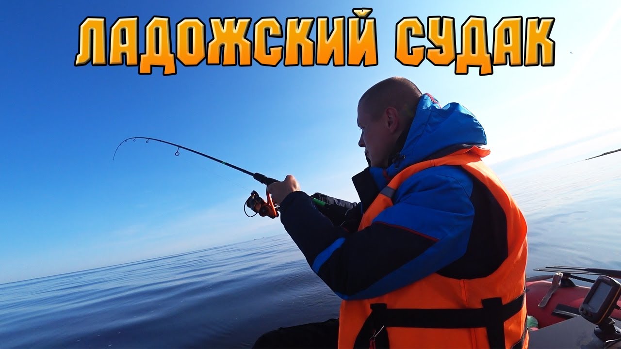 РЫБАЛКА НА ОТВОДНОЙ ПОВОДОК НА ЛАДОЖСКОМ ОЗЕРЕ НА СУДАКА 2023 В УСТЬЕ ВОЛХОВА. УЧИМСЯ ЛОВИТЬ СУДАКА!