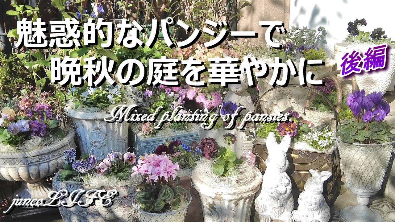ドラキュラが大人の魅力爆発で玄関前が華やかな空間に＊猫ちゃん