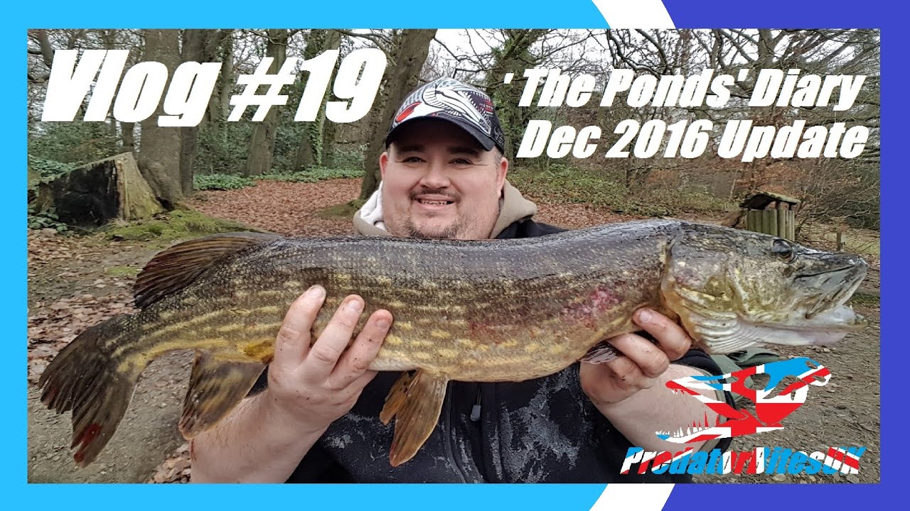 Vlog #19 - 'The Ponds Diary' (Dec 2016 Update) Pike Fishing - PredatorBitesUK
