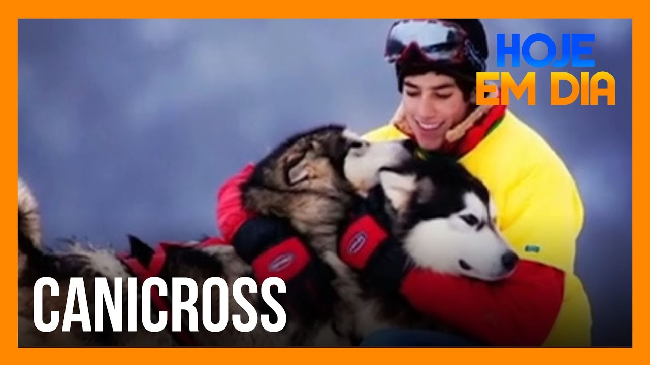 Dicas Pet Delivery: Conheça o canicross, esporte em que cães correm acompanhados dos tutores