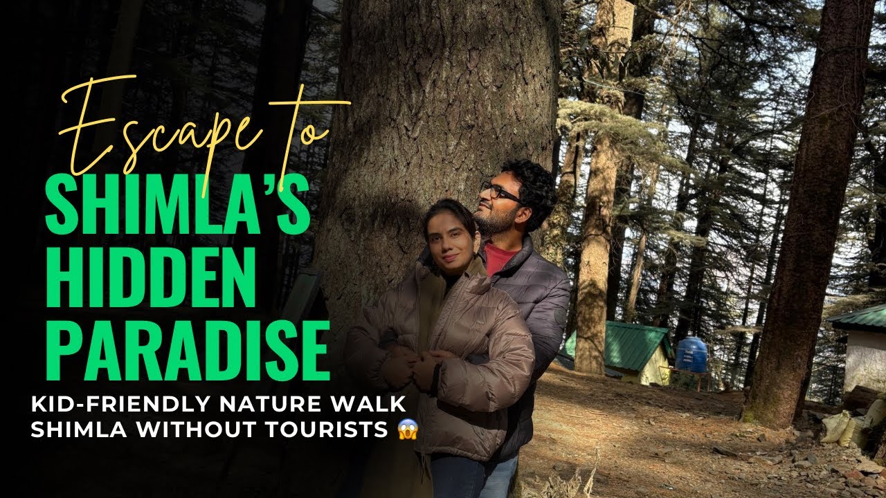 Mashobra Greens 😍 Shimla&rsquo;s Hidden Gem | Peaceful Family Trip Vlog (Unplanned)