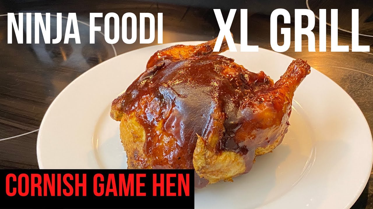 NINJA FOODI XL GRILL AND GRIDDLE - BBQ Cornish Game Hens - Get a VieW FROM INSIDE THE GRILL!