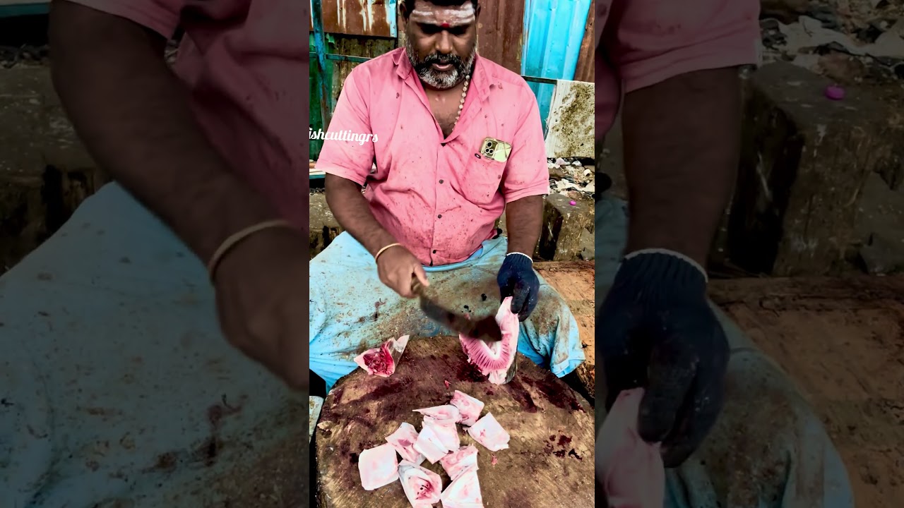 Fishcuttingrs #fish #kasimedu #fishcuttingrs