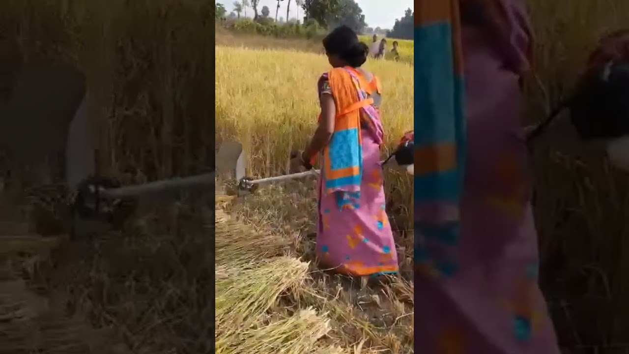 power reaper, brush cutter, paddy cutter