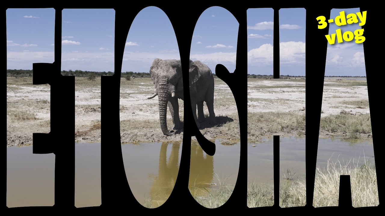 Namibia’s Ultimate Self-Drive Safari
