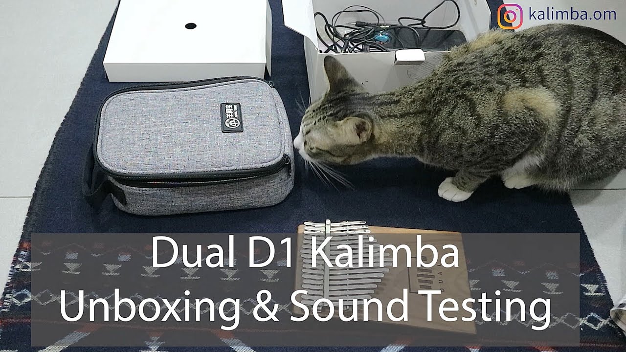 Dual D1 Kalimba - Unboxing & Testing