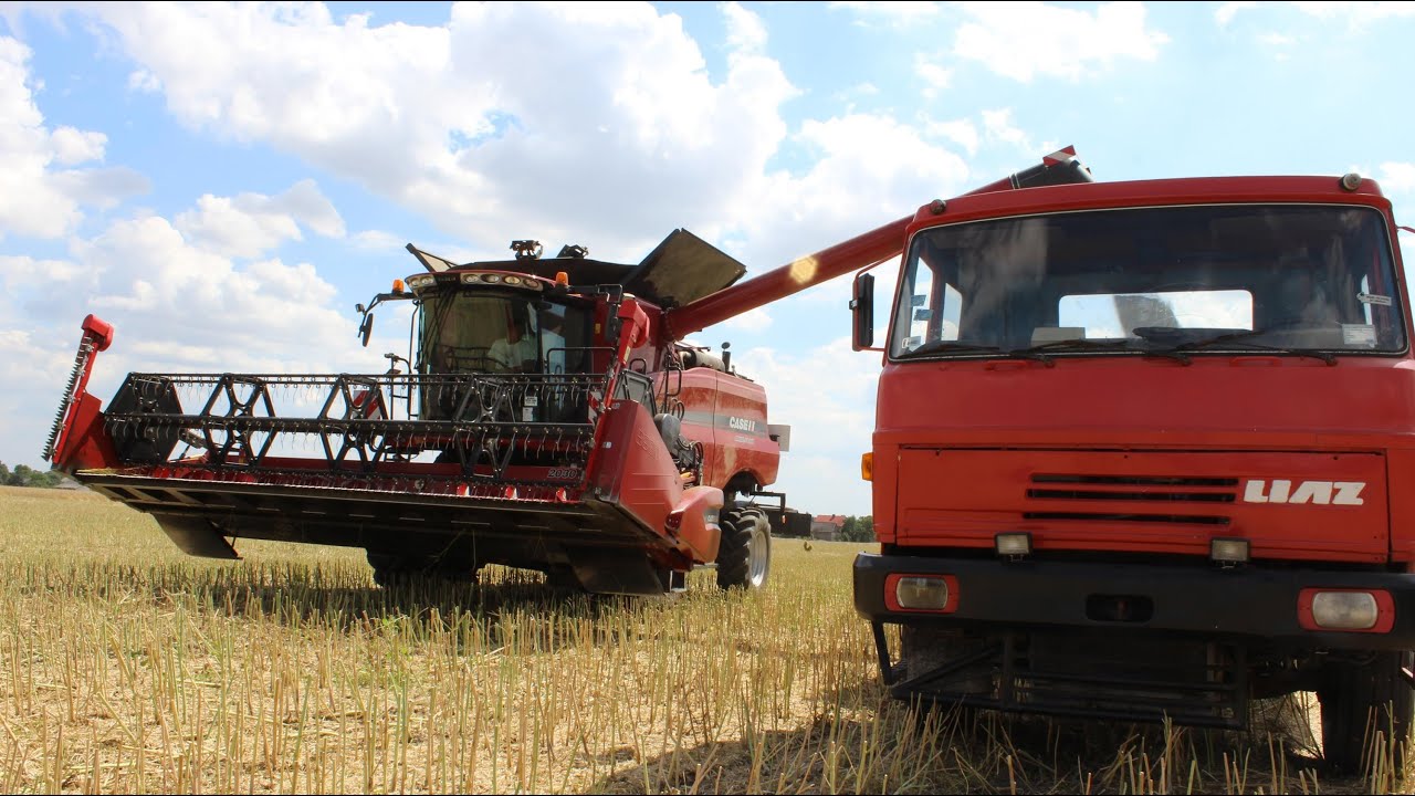 żniwa 2015 Case 5130 AXIL-FLOW (Świętokrzyskie)