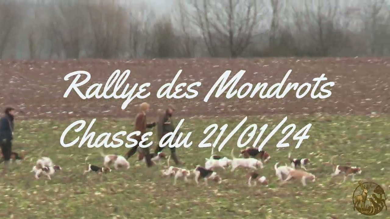 V&eacute;nerie du li&egrave;vre &ndash; Rallye des Mondrot &ndash; 21 avril 2024