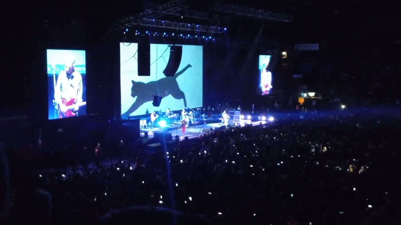 Virus en el luna Park 