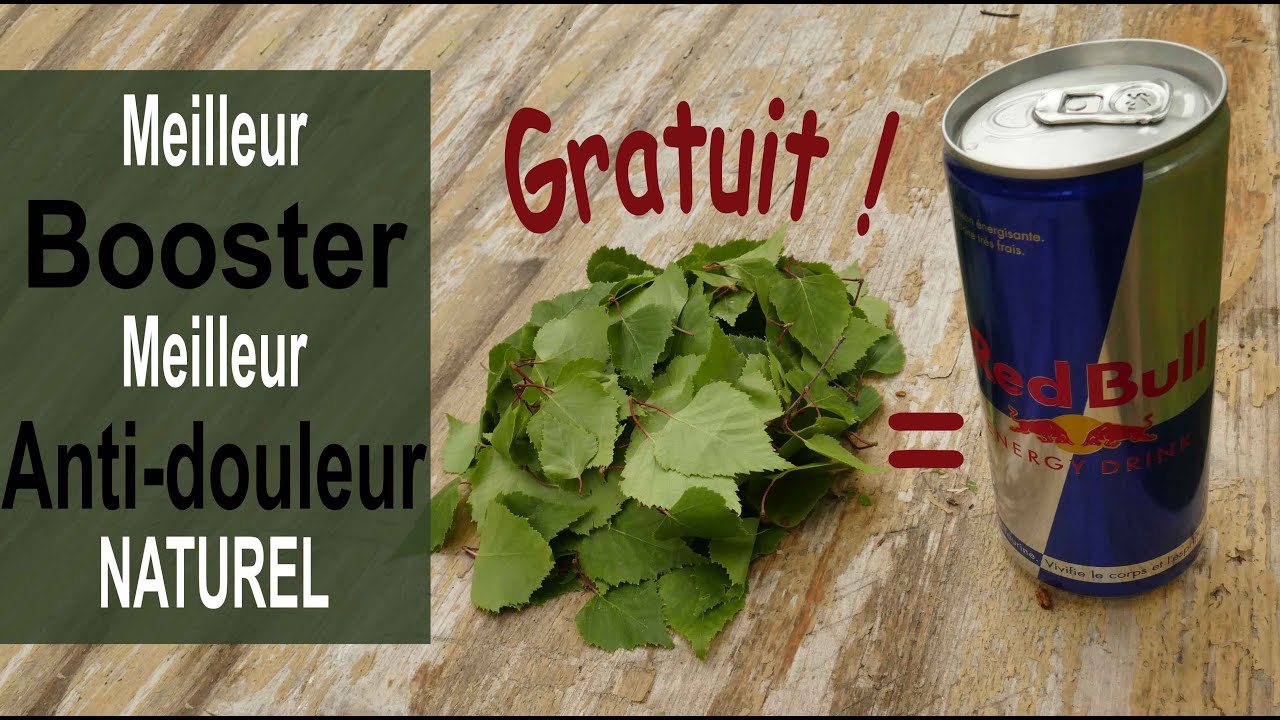 Le meilleur anti douleur. Une boisson énergisante naturelle et gratuite à base de plantes communes.