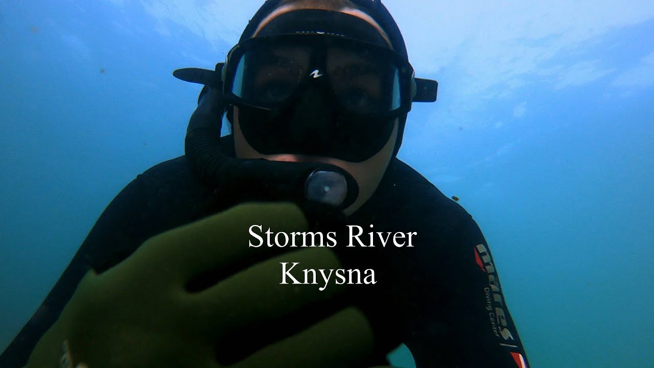 Free Diving. Storms River...One of the best dives I’ve dived!.....