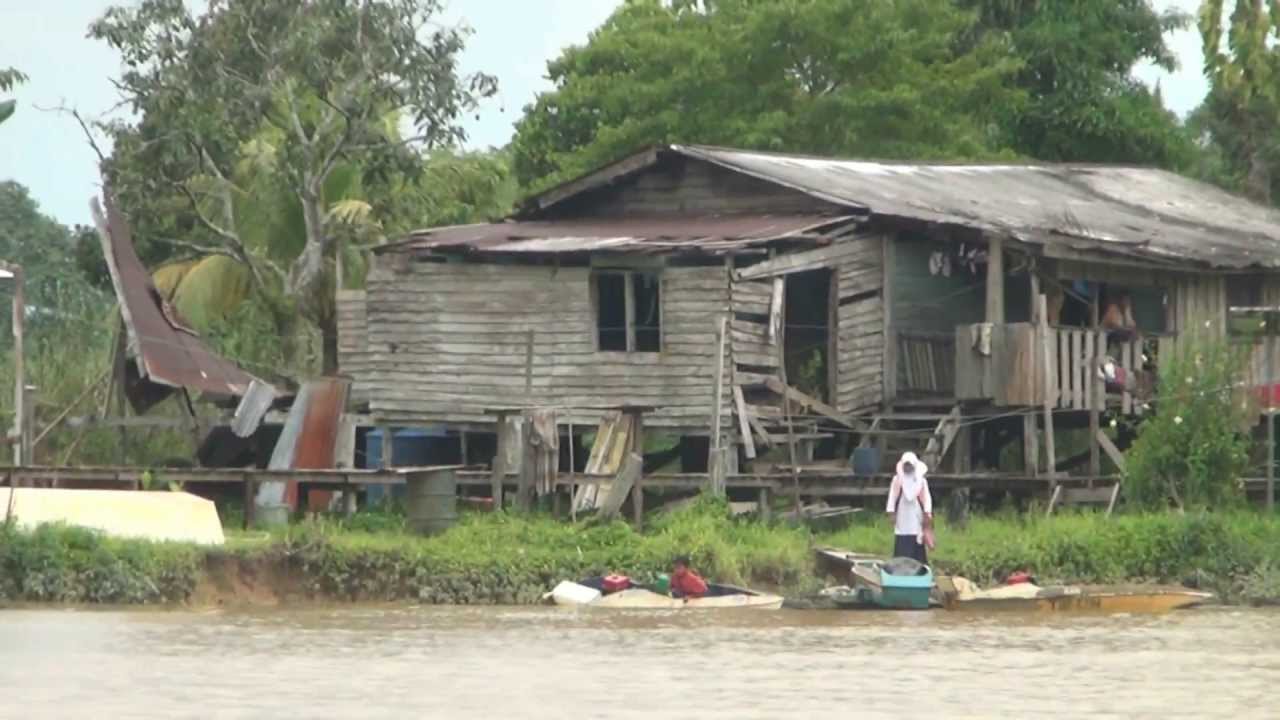 Life beside the Kinabatangan River