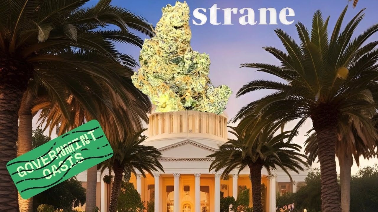 Strane Governmint Oasis Flower Review