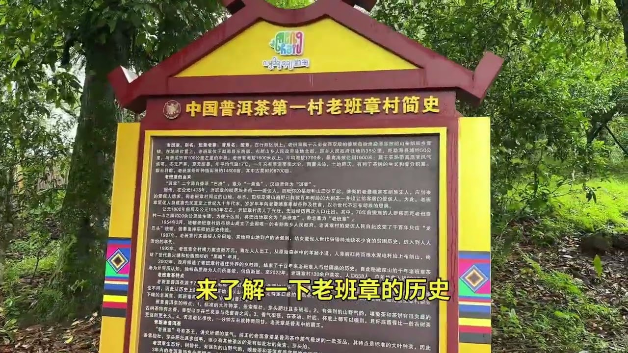 西双版纳雨林的茶叶王国：老班章村，像城堡一样！