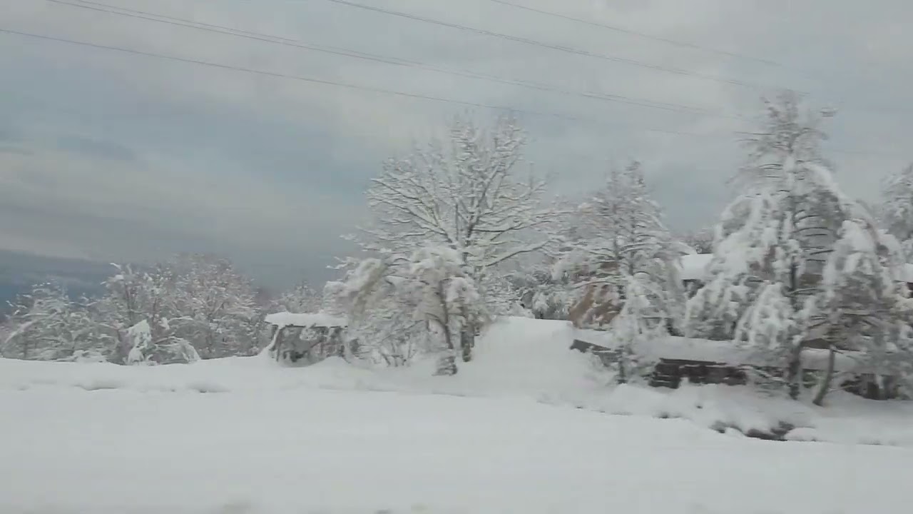 KOLTUK NO 12 Kısa Film