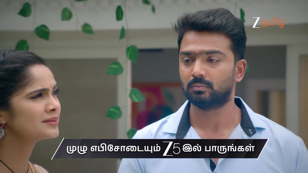Ayali | Ep - 217 | Preview | Feb 12 2026 | Zee Tamil