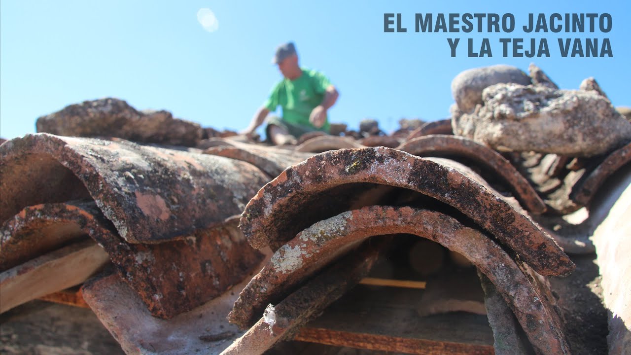 El maestro Jacinto y la teja vana. Mantenimiento de tejados.
