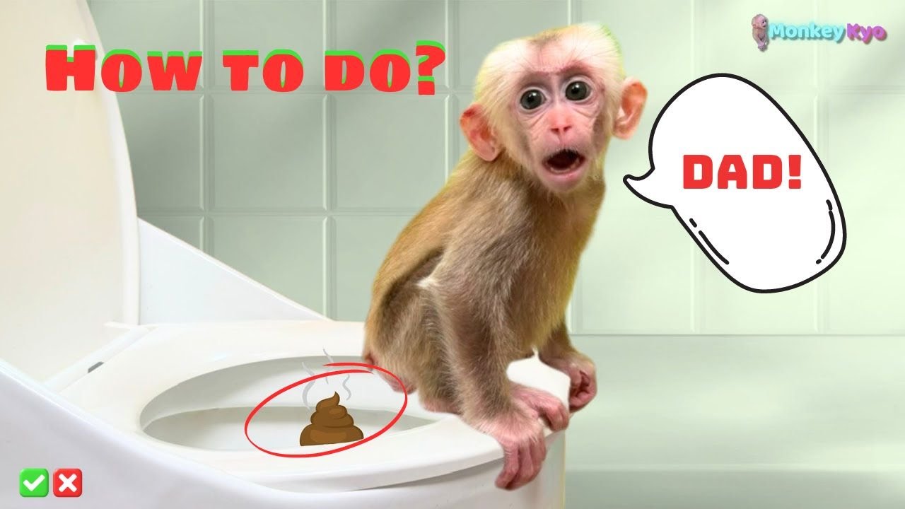Dad shows monkey Kyo how to go to the toilet cleanly!