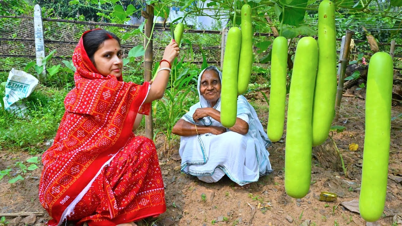 বাগানের টাটকা লাউ দিয়ে লাউ চিংড়ি সঙ্গে ফুলকপি ভাপা | Bottle gourd & prawn curry with fulgobi recipe