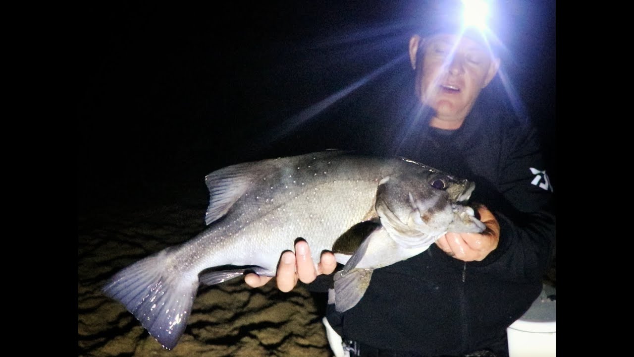 Scratch & Find | Edible fishing at Cape Vidal Zululand | Night Fishing | ASFN Rock & Surf