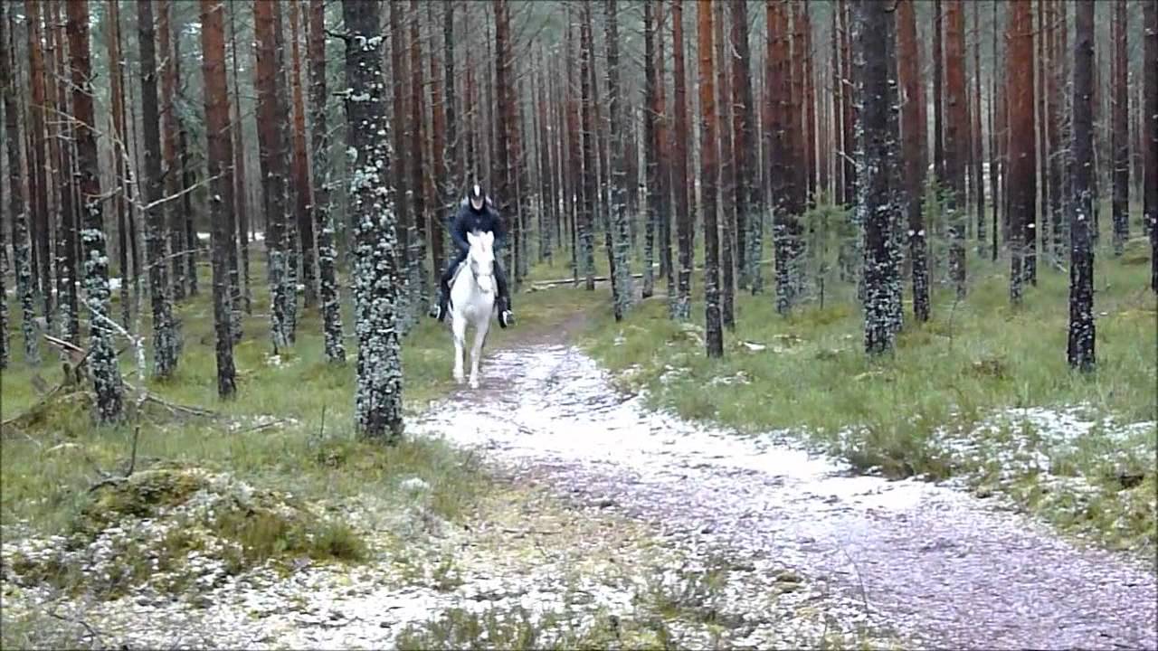 Ridpass p&aring; Cristo 4/1