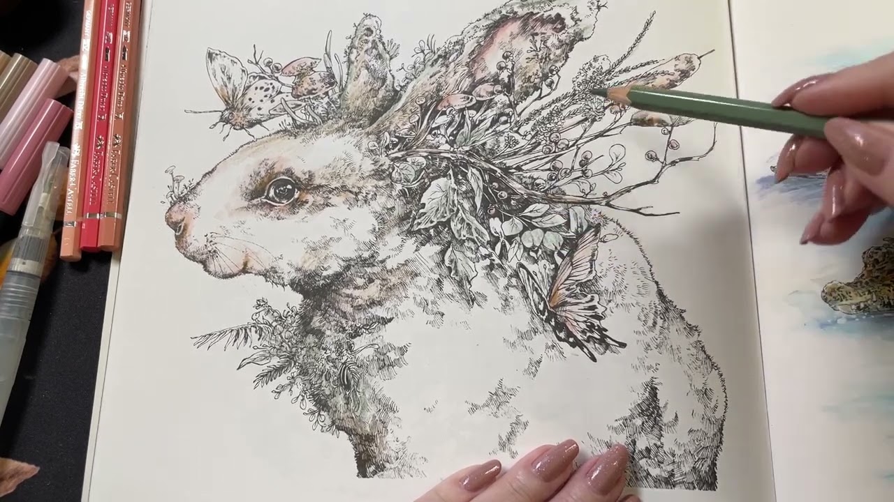 Adult Coloring - Ken Matsuda's Coloring Book - Bunny
