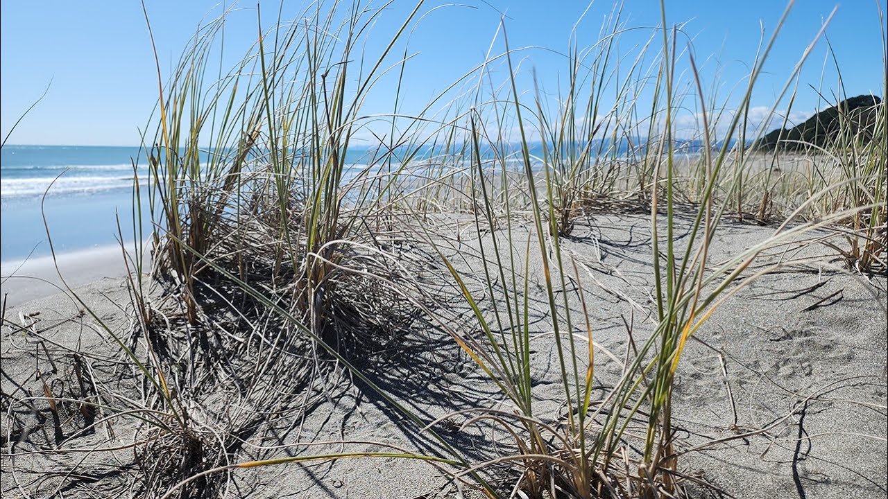 Roadtrip Archive 224 - Te Ranga to Tokomaru Bay - New Zealand - Driving Timelapse
