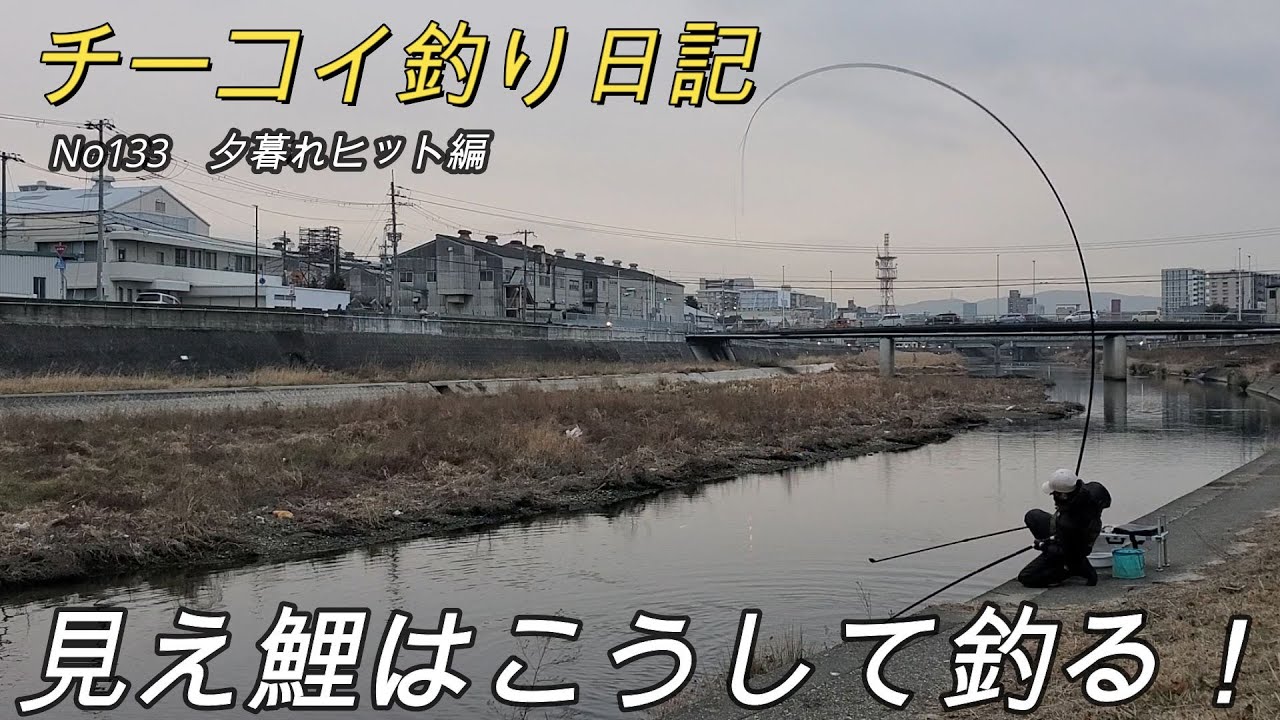 【鯉釣り】浅場の見え鯉はシモリウキで警戒心を取り除く。
