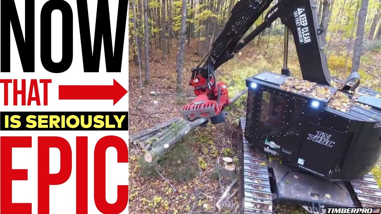 TimberPro TN725C with Rolly 3
