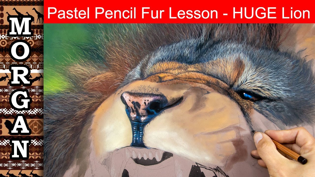 Pastel Pencil Fur Lesson Lion wildlife art Jason Morgan