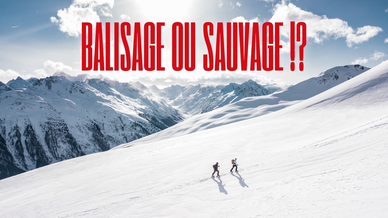Balisage ou Sauvage ! [EVOLUTION]