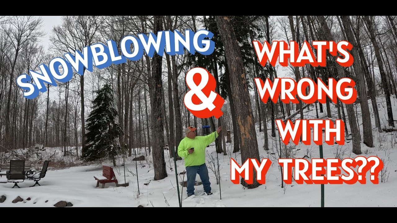 SNOWBLOWING AT THE CABIN AND WHY ARE WOODPECKERS ATTACKING MY TREES? - #29