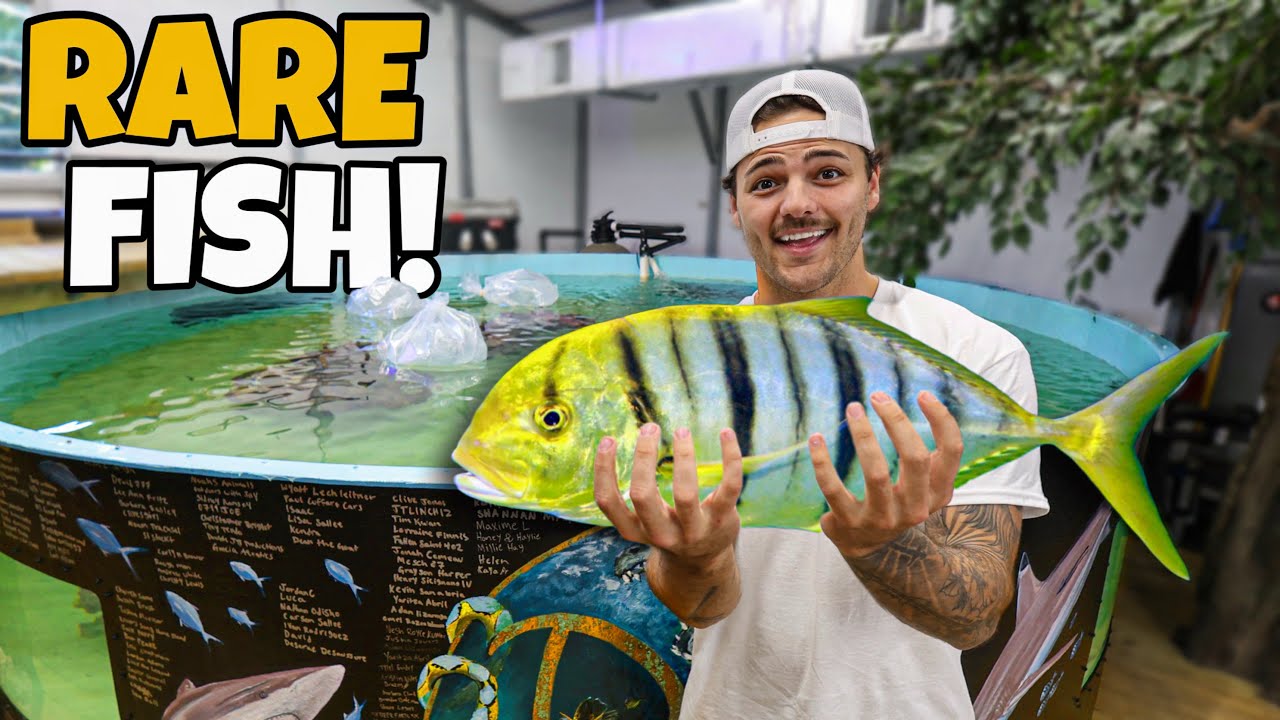 Buying MOST POWERFUL FISH for My SHARK POND!!