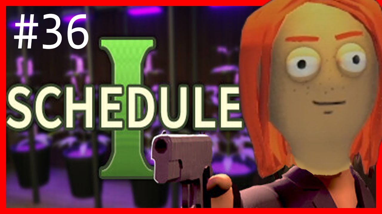 SCHEDULE 1 | Capitulo 36 