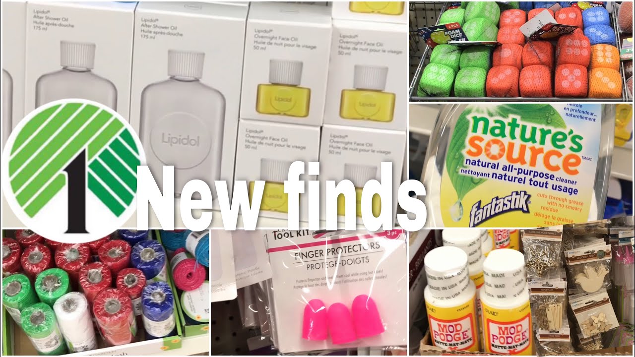 NEW DOLLAR TREE FINDS (no music)