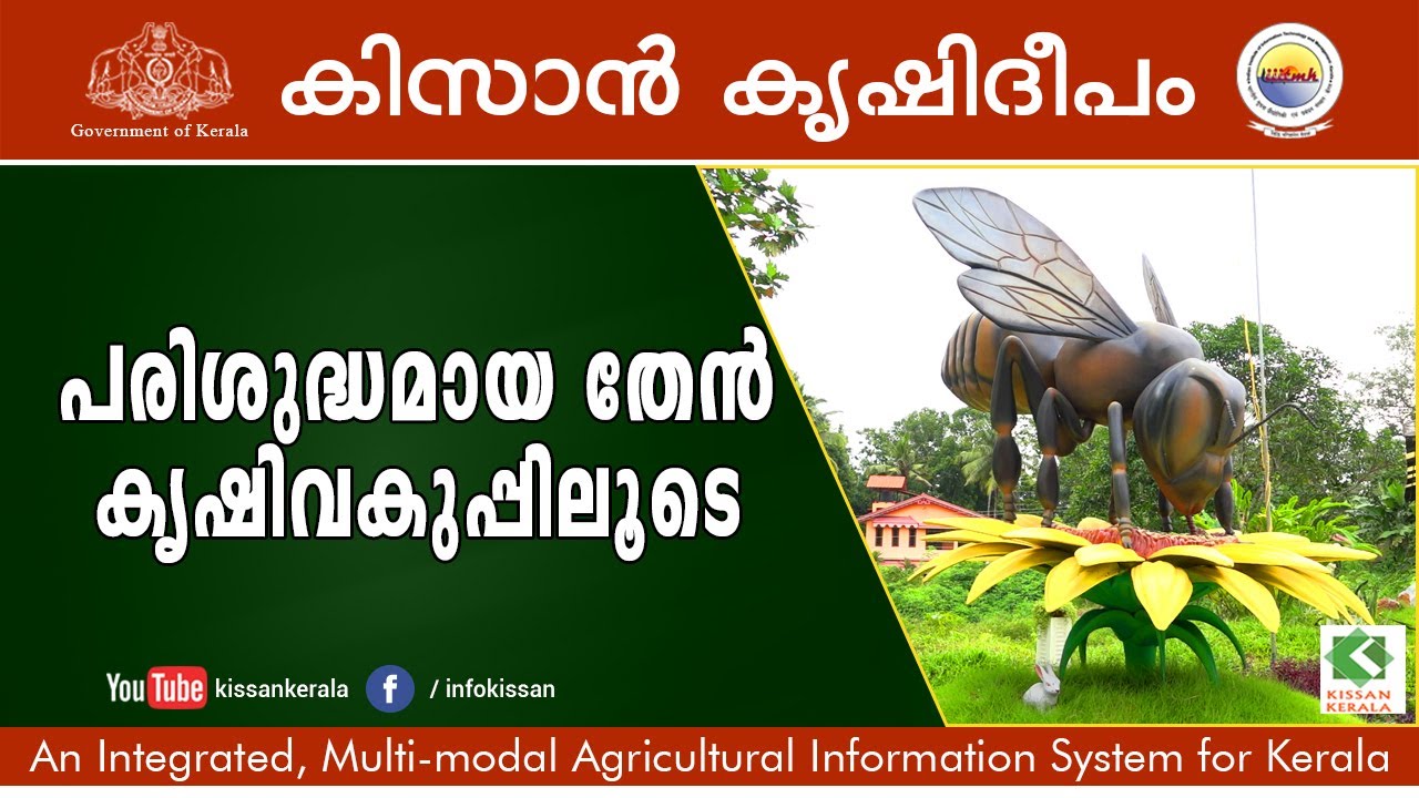 Honey Bee Park & Honey Processing